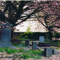 St. MaryÃ¢â‚¬â„¢s Graveyard Kilkenny